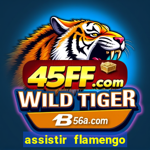 assistir flamengo sem travar